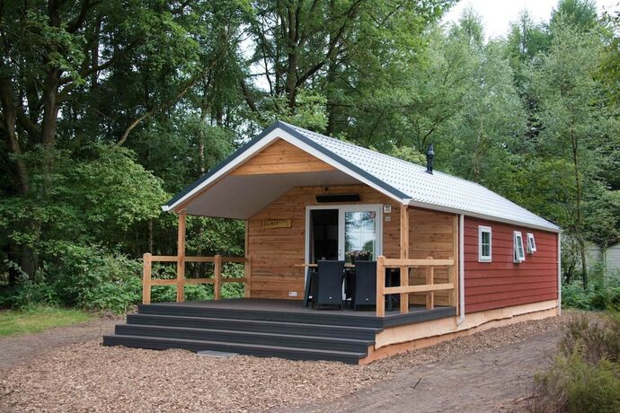 Imagen de la habitación del Hotel EuroParcs De Wiltzangh. Foto 18