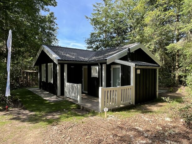 Imagen de la habitación del Hotel EuroParcs De Wiltzangh. Foto 19