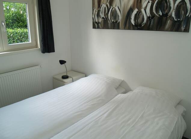 Imagen general del Hotel EuroParcs Reestervallei. Foto 2