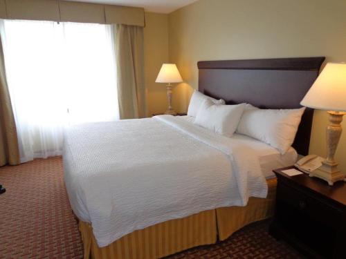 Imagen de la habitación del Hotel Euro-Suites. Foto 6