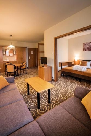 Imagen de la habitación del Hotel Eur&oacute;pa Fit. Foto 7
