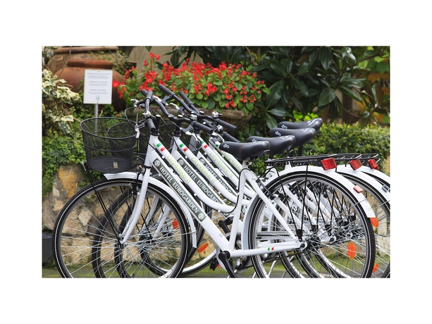 Imagen de los interiores del Hotel Eurogarden. Foto 14