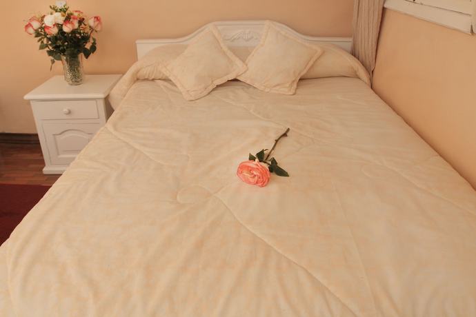 Imagen de la habitación del Hotel Europa, Alaus&iacute;. Foto 12