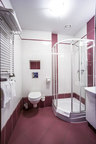 Imagen de la habitación del Hotel Europa Business And Spa. Foto 12
