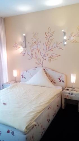 Imagen general del Hotel Europa F&uuml;rth. Foto 4