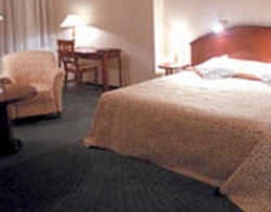 Imagen de la habitación del Hotel Europa, Iasi. Foto 5