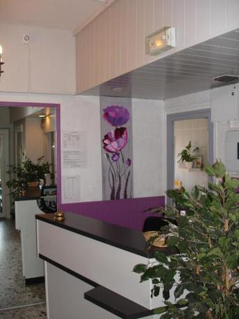 Imagen general del Hotel Europa, Roussillon-en-Isere. Foto 2