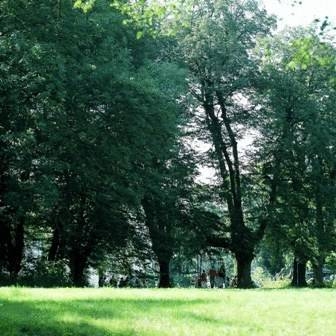 Imagen general del Hotel Europahaus Wien. Foto 15