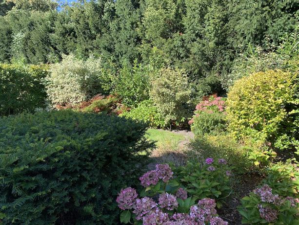 Imagen de la habitación del Hotel Europarcs Koningshof. Foto 9