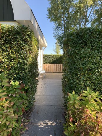 Imagen de la habitación del Hotel Europarcs Koningshof. Foto 14