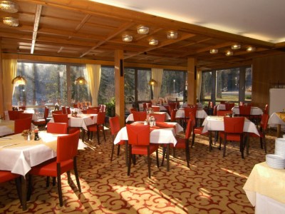 Imagen del bar/restaurante del Hotel Europark Hotel International. Foto 7