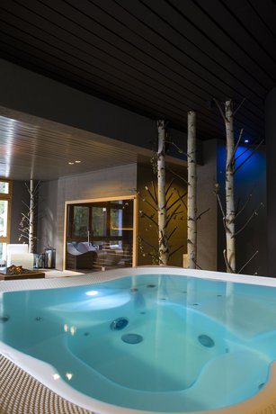 Imagen de la piscina del Hotel Europe, Anniviers. Foto 20