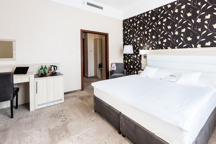 Imagen de la habitación del Hotel Europejski Boutique. Foto 19