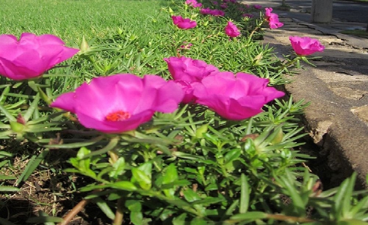 Imagen de los interiores del Hotel Europeo, MANAGUA. Foto 7