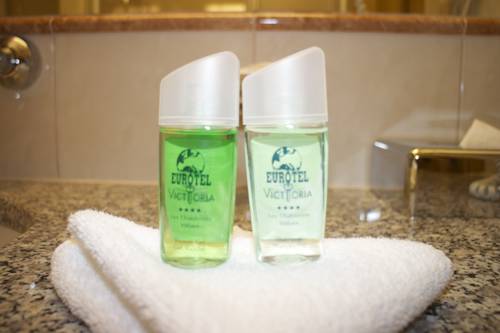 Imagen de la habitación del Hotel Eurotel Victoria Les Diablerets. Foto 10