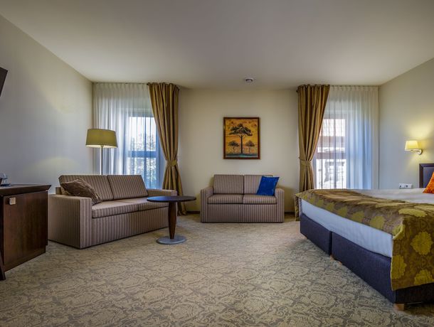 Imagen de la habitación del Hotel Euterpe. Foto 12