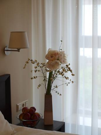 Imagen de la habitación del Hotel Euterpe. Foto 15