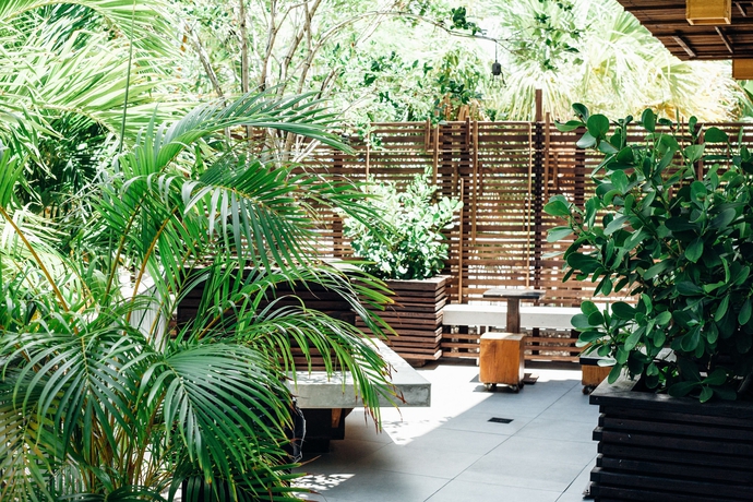 Imagen de los exteriores del Hotel Eva, Miami Beach . Foto 14