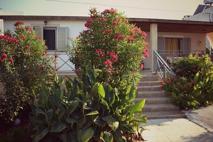 Imagen de la habitación del Hotel Evdokia Suites. Foto 20