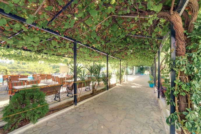 Imagen de los exteriores del Hotel Evelin hotel. Foto 18