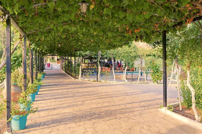 Imagen de los exteriores del Hotel Evelin hotel. Foto 19