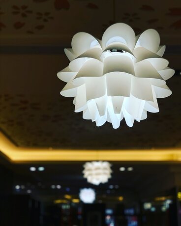 Imagen general del Hotel Ever Delightful Business. Foto 3