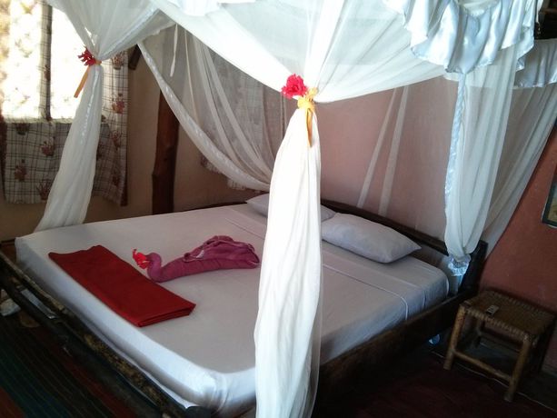 Imagen de la habitación del Hotel Evergreen Bungalows. Foto 12