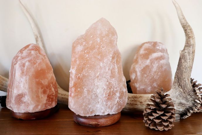 Imagen de los interiores del Hotel Evergreen Motel. Foto 12