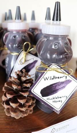 Imagen de los interiores del Hotel Evergreen Motel. Foto 14