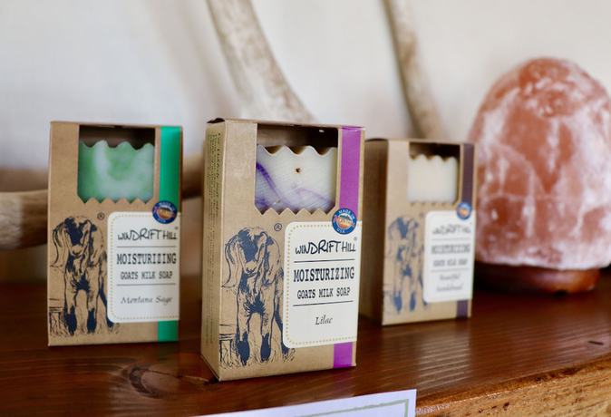 Imagen de los interiores del Hotel Evergreen Motel. Foto 15