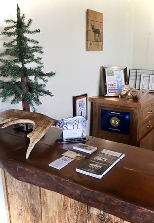 Imagen de los interiores del Hotel Evergreen Motel. Foto 17