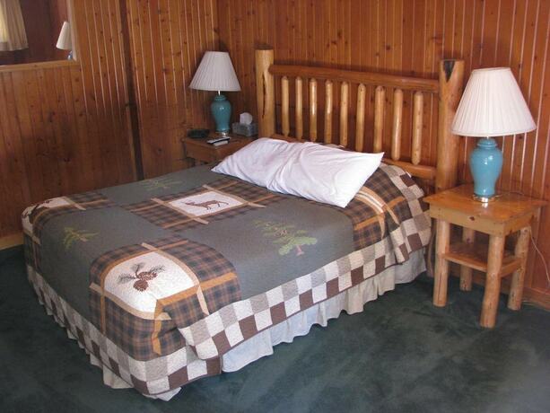 Imagen de la habitación del Hotel Evergreen Motel. Foto 20