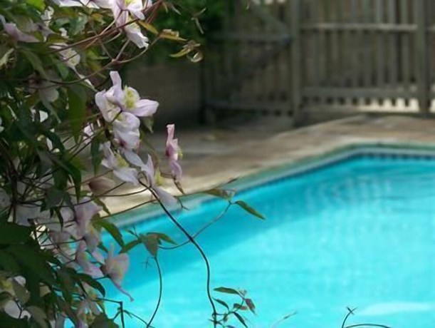 Imagen de la piscina del Hotel Eversley. Foto 18