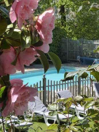 Imagen de la piscina del Hotel Eversley. Foto 19