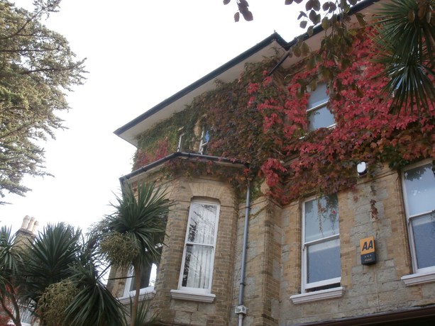 Imagen general del Hotel Eversley. Foto 2