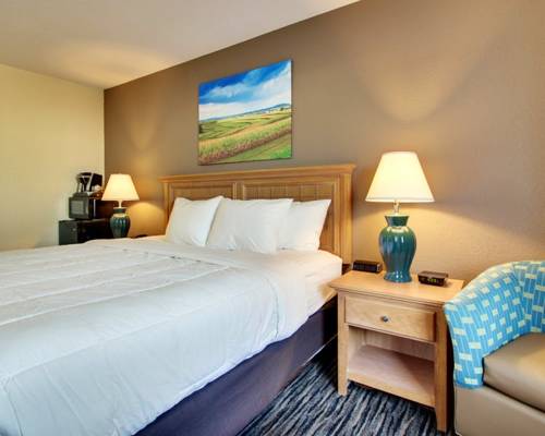 Imagen de la habitación del Hotel Everspring Inn & Suites. Foto 2