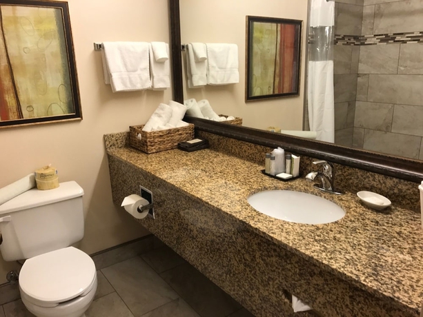 Imagen de la habitación del Hotel Everspring Suites. Foto 14
