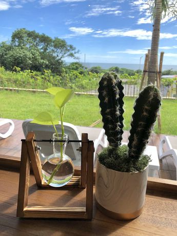 Imagen de los interiores del Hotel Everyday Life. Foto 20