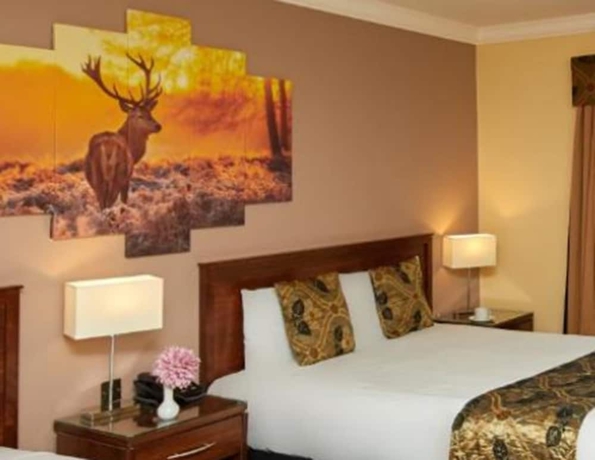 Imagen de la habitación del Hotel Eviston House. Foto 15