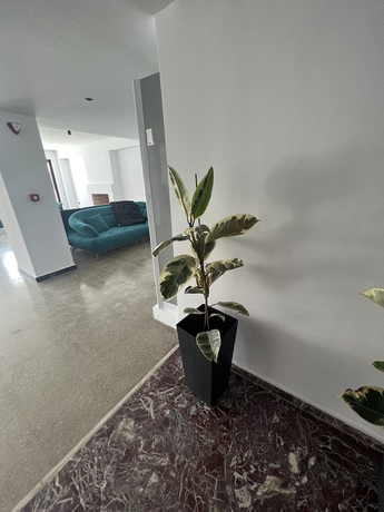 Imagen de los interiores del Hotel Evita Blue. Foto 10