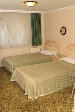 Imagen de la habitación del Hotel Evkuran Otel. Foto 7