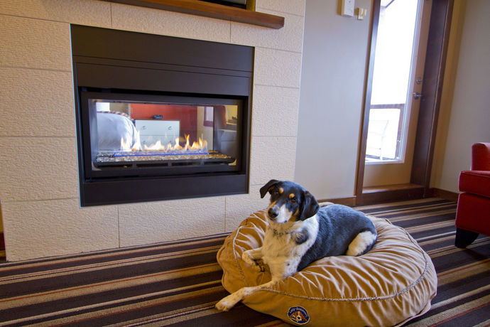 Imagen de los interiores del Hotel Evolution Whistler. Foto 10