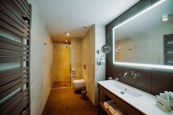 Imagen de la habitación del Hotel Evva Business and Wellness. Foto 16