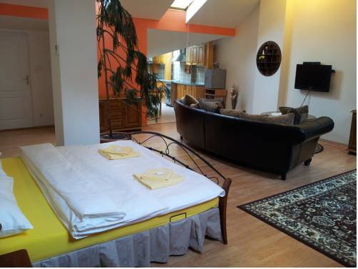 Imagen de la habitación del Hotel Excellent, Kroměř&iacute;ž . Foto 14