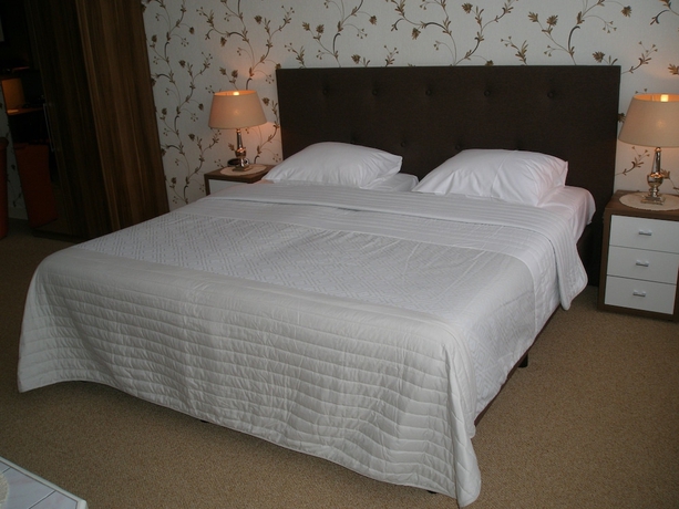 Imagen de la habitación del Hotel Excelsior, La Haya. Foto 8