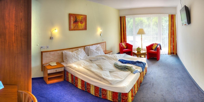 Imagen de la habitación del Hotel Excelsior, Locarno. Foto 9