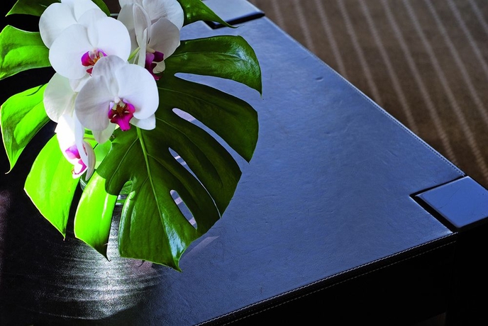 Imagen de los interiores del Hotel Excelsior, Saint Raphael. Foto 14