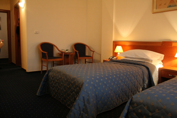 Imagen de la habitación del Hotel Excelsior, Timisoara. Foto 11