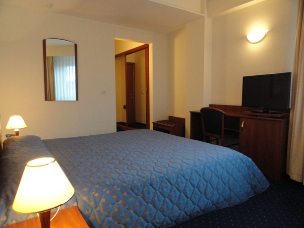 Imagen de la habitación del Hotel Excelsior, Timisoara. Foto 13