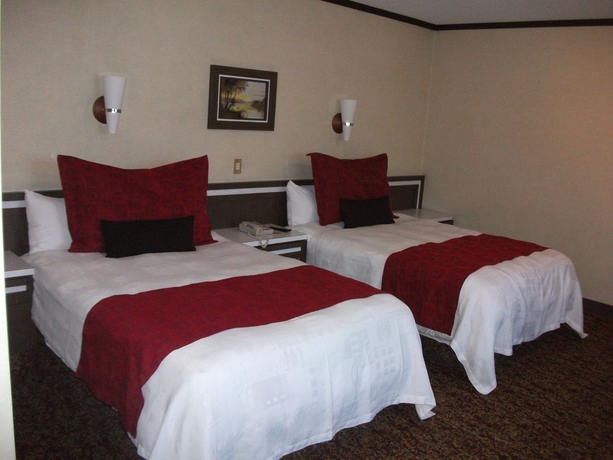 Imagen de la habitación del Hotel Exe Alameda Reforma. Foto 4